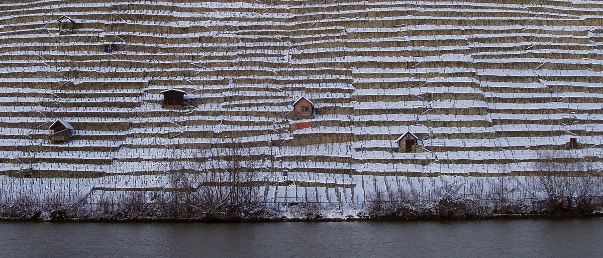 Vineyards in winter, © Stuttgart-Marketing GmbH