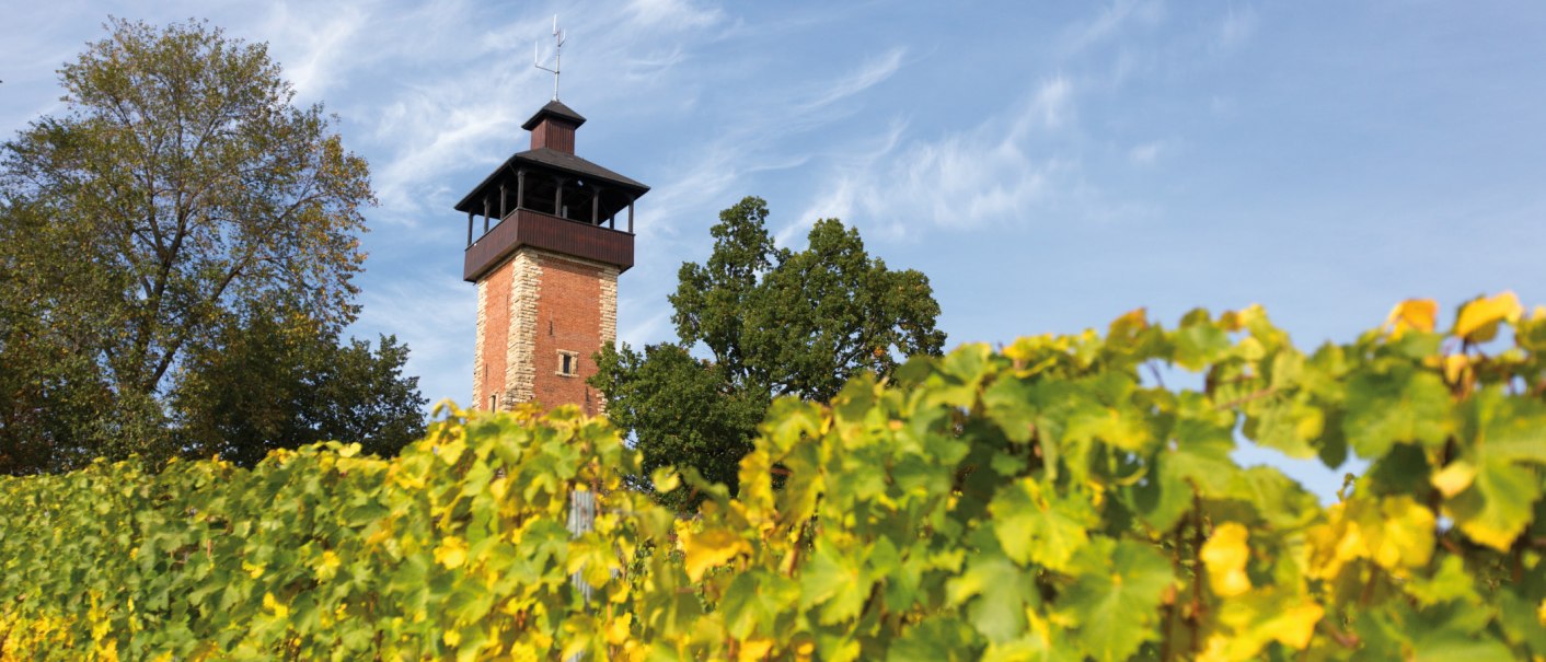 Aussichtsturm Burgholzhof Stuttgart, © SMG, Achim Mende