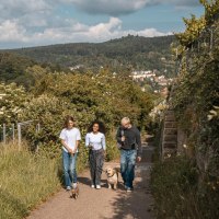 Schimmelhüttenweg, © Stuttgart-Marketing GmbH, Sarah Schmid