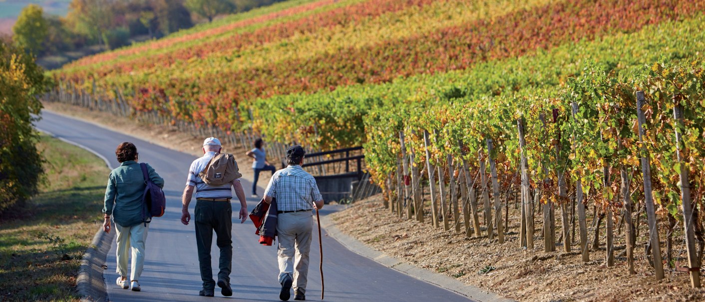 Taubertal Wandern, © Peter Frischmuth/ argus