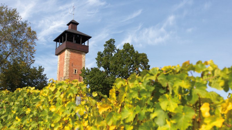 Burgholzhof observation tower Stuttgart, © SMG, Achim Mende