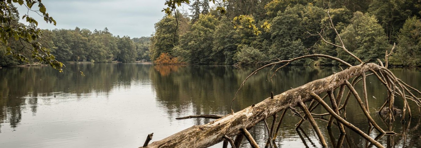 Pfaffensee, © Stuttgart-Marketing GmbH, Sarah Schmid