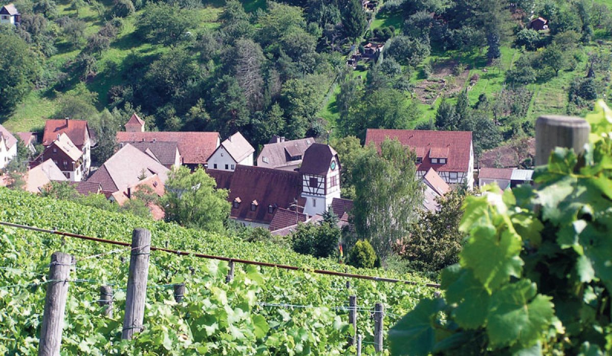 Weinwanderweg Rohracker, © Stuttgart-Marketing GmbH