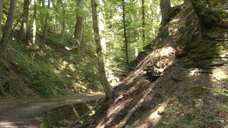 Schwälblesklinge, © Stuttgarter Straßenbahnen AG