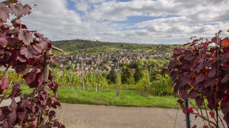 Weinwanderweg, © Stuttgart-Marketing GmbH