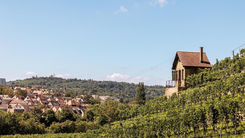 Weinwanderweg Stuttgart Bad Cannstatt, © Stuttgart-Marketing GmbH, Sarah Schmid