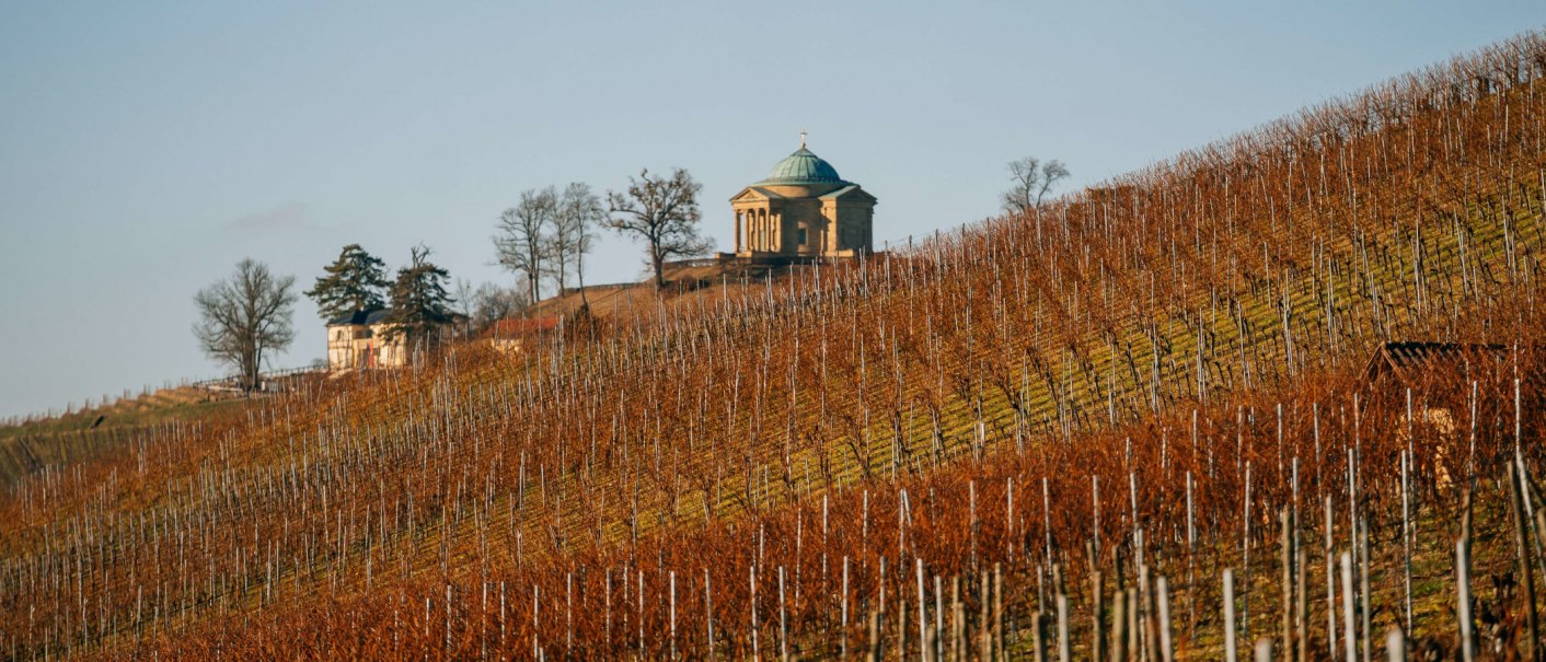 Vineyards Currle Winery, © SMG, Thomas Niedermüller