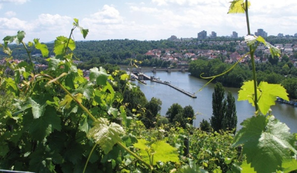 From Lake Max-Eyth to Mühlhausen, © Stuttgart-Marketing GmbH