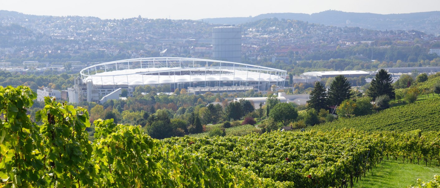 Winery Wöhrwag, © BURKHARDT HELLWIG