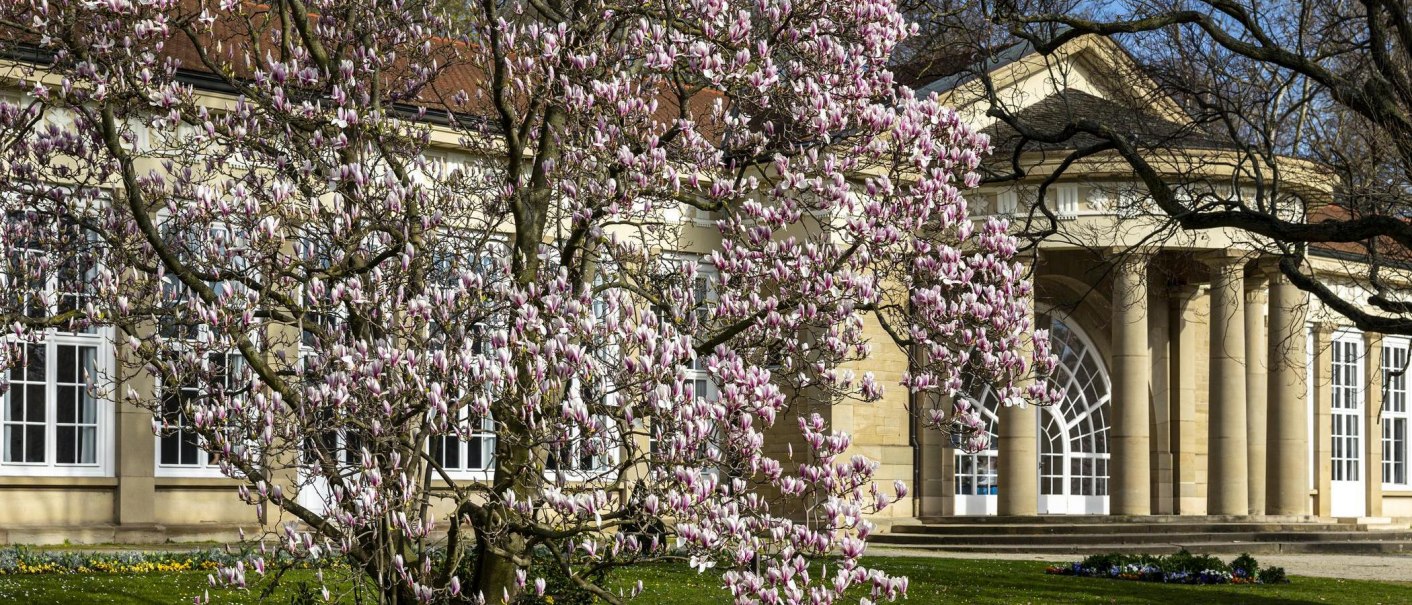 Magnolien im Kurpark Bad Cannstatt, © Stuttgart Marketing GmbH, Sarah Schmid