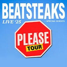 Beatsteaks - Please Tour 2025, © links im Bild