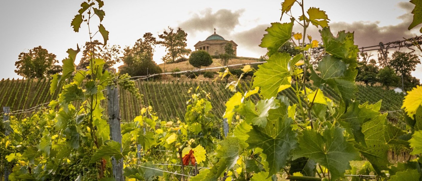 Wine Yards by the Sepulchral Chapel on Württemberg Hill, © Stuttgart-Marketing GmbH, Sarah Schmid