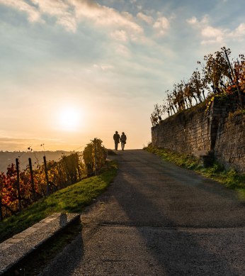 Weinwanderweg, © SMG, Frank Hoerner