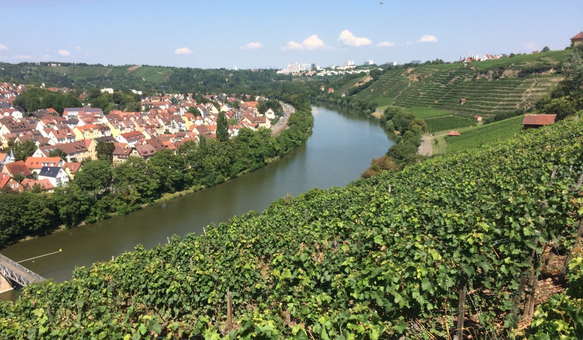 Steep slopes on the Neckar, © Stuttgart-Marketing GmbH