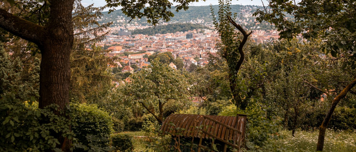 Panoramweg West, © Stuttgart-Marketing GmbH, Sarah Schmid