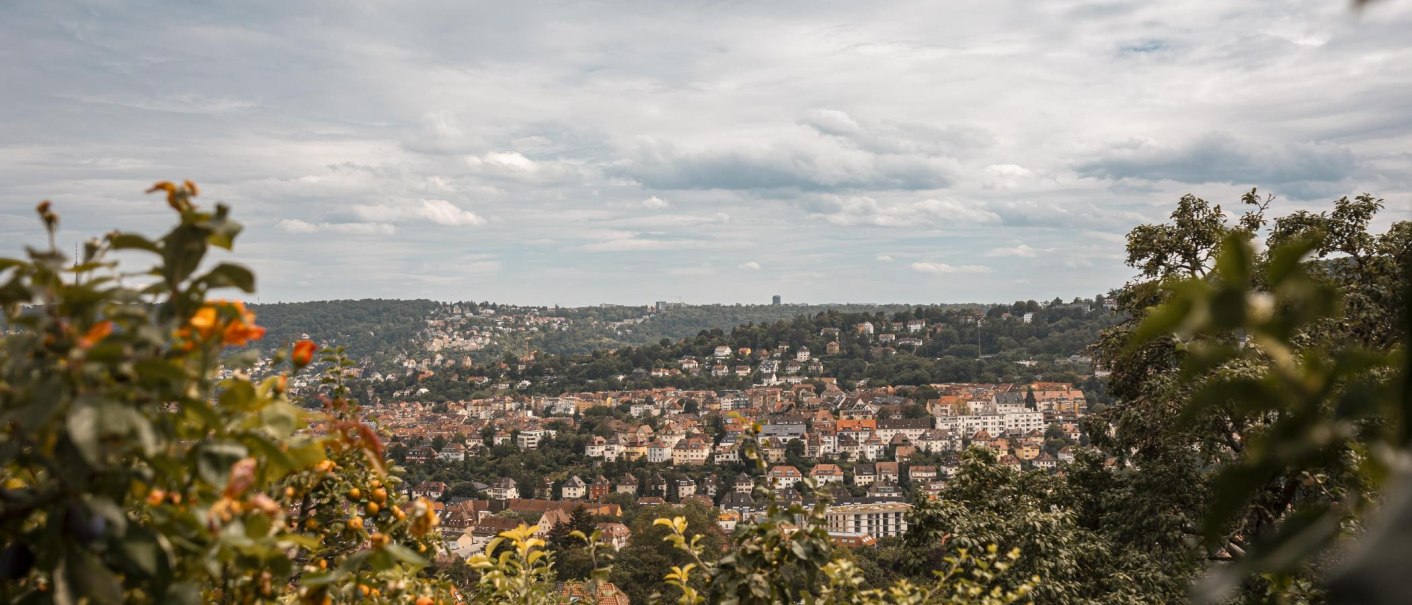 Panoramaweg West Aussicht, © Stuttgart-Marketing GmbH, Sarah Schmid