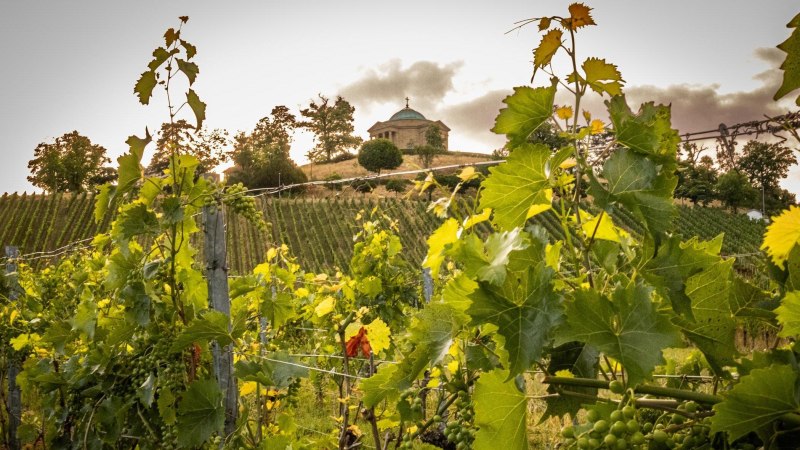 Grabkapelle auf dem Württemberg, © Stuttgart-Marketing GmbH, Sarah Schmid