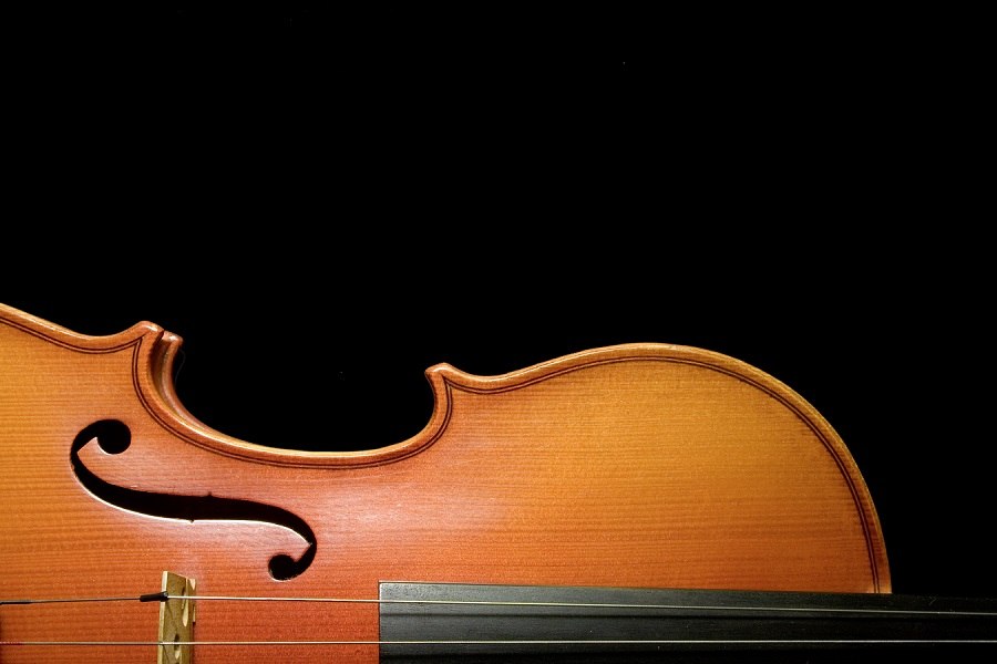 Violine, © Christian Steeneck