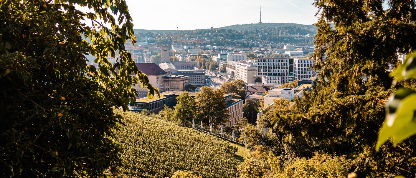 Panoramaweg, © SMG Stuttgart Marketing GmbH - Sarah Schmid