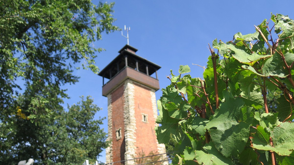 Burgholzhof tower, © Stuttgart-Marketing GmbH