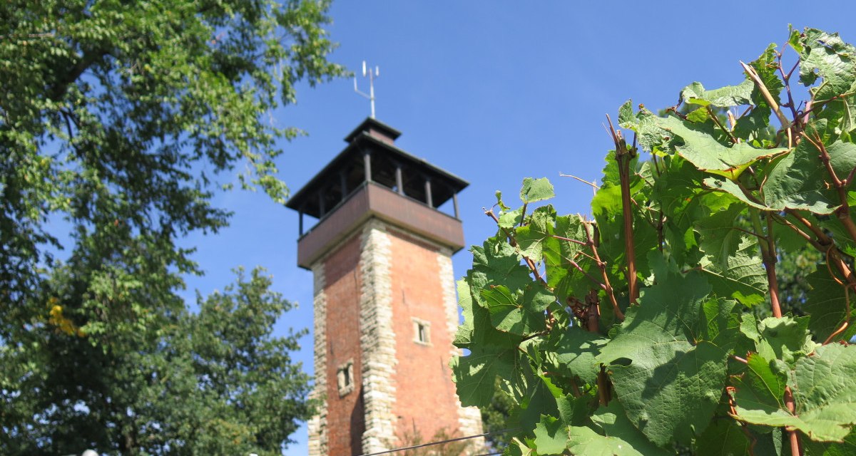 Burgholzhof tower, © Stuttgart-Marketing GmbH