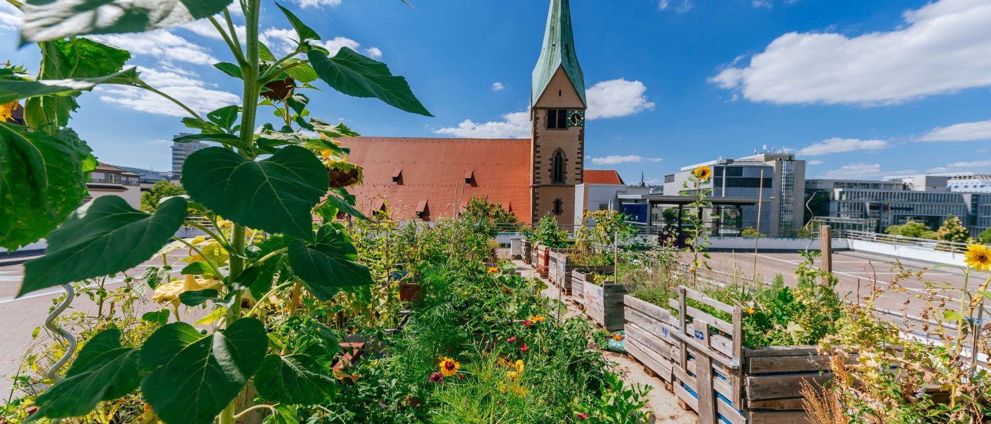 Leonhardskirche, © Thomas Niedermüller