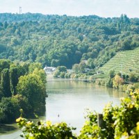 Neckarschleife und Weinberge, © Weingut Zaißerei