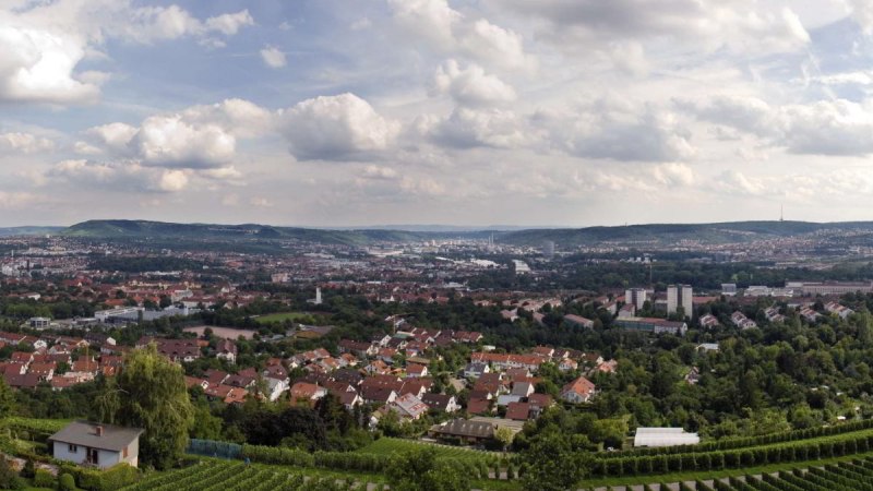 Ausblick Burgholzhof, © pjt56