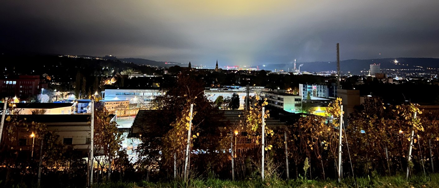 Aussicht auf Bad Cannstatt, © Weinfactum Bad Cannstatt