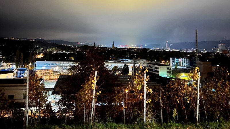 Aussicht auf Bad Cannstatt, © Weinfactum Bad Cannstatt