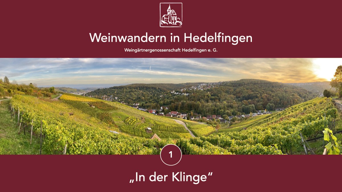 Wine hiking in Hedelfingen, © Lukas Alperowitz