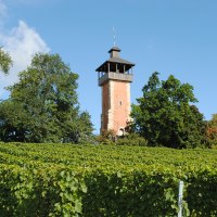 Peter Mayer Winery, © Weingut Peter Mayer