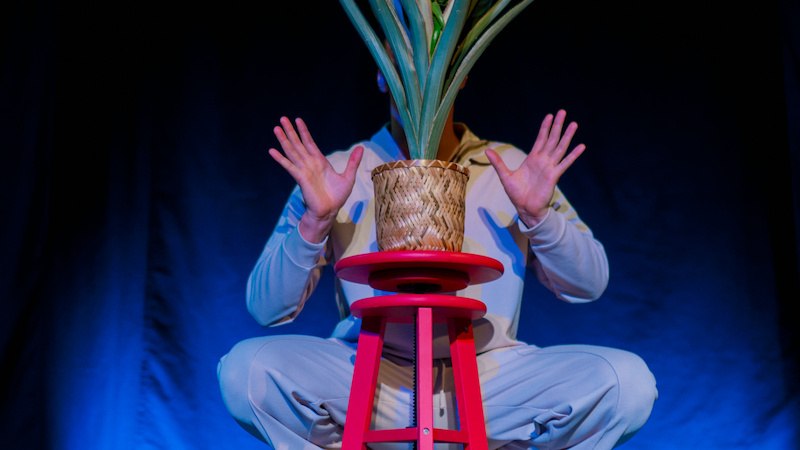 The Pineapple Commitment, © FITZ Das Theater animierter Formen