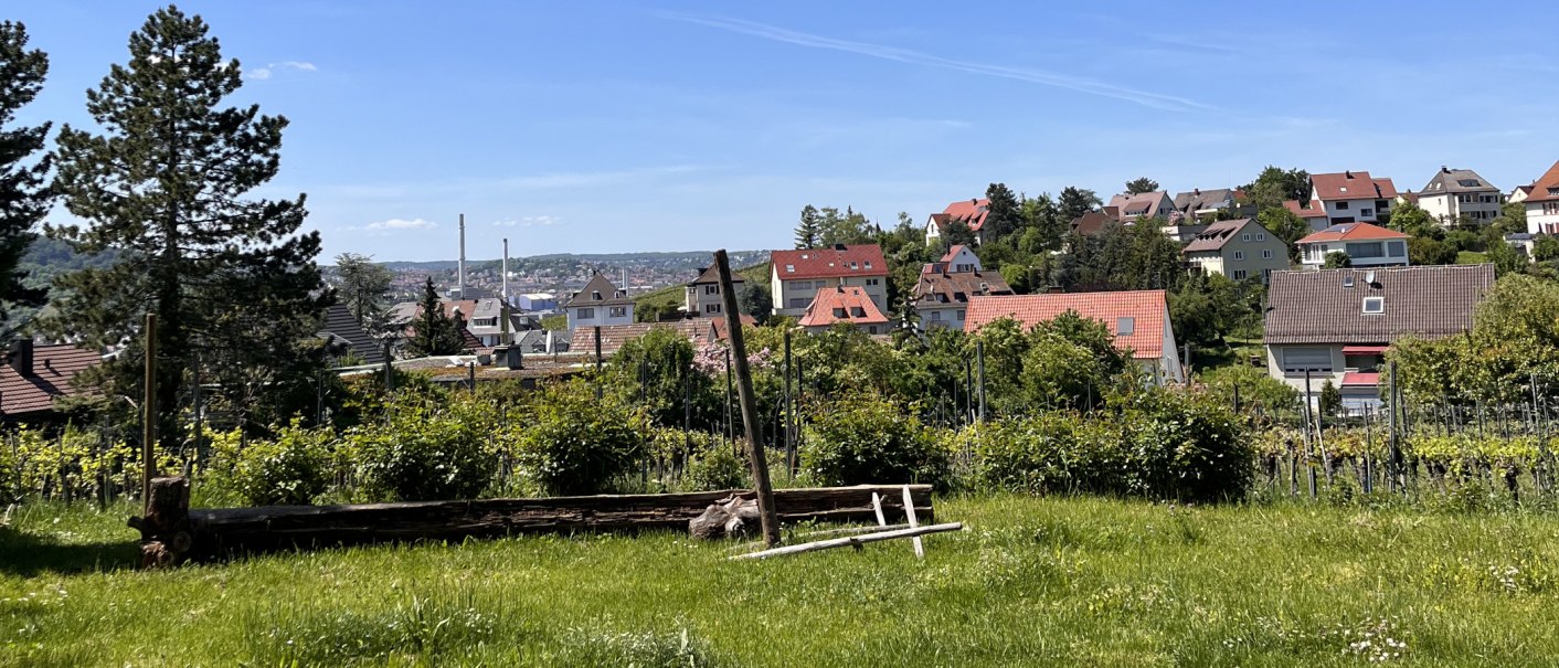 Garden and view, © Weinhof Zaiß