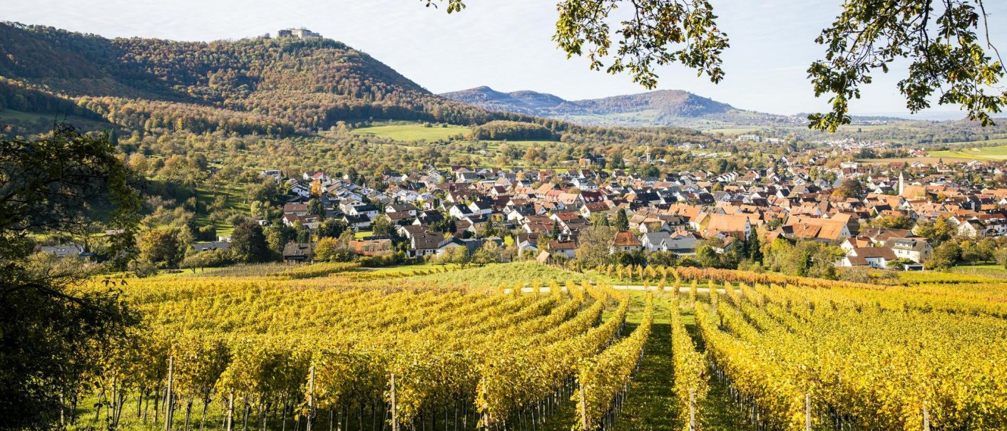 Vineyards, Beuren view, © SMG, Sarah Schmid