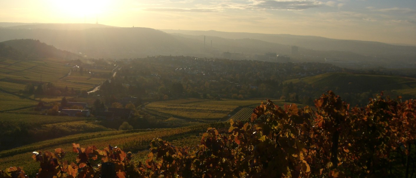 Warth Winery, © Weingut Warth