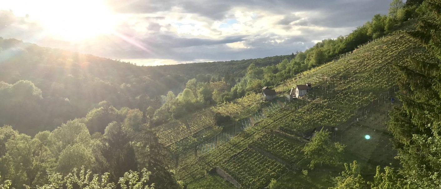 Dürrbachtal, © Gut Rohreck