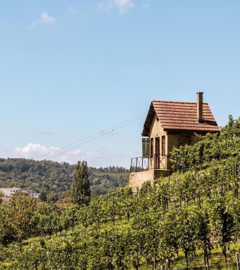 Weinwanderweg Stuttgart Bad Cannstatt, © Stuttgart-Marketing GmbH, Sarah Schmid