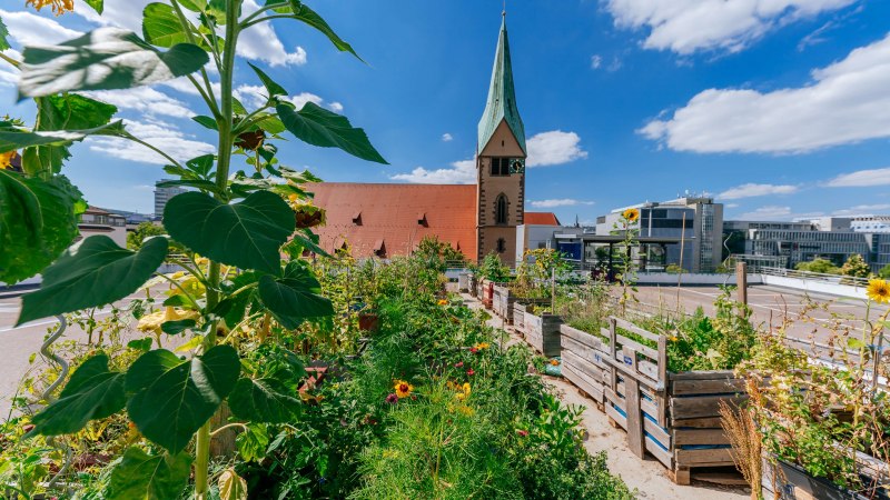 Leonhardskirche, © Thomas Niedermüller