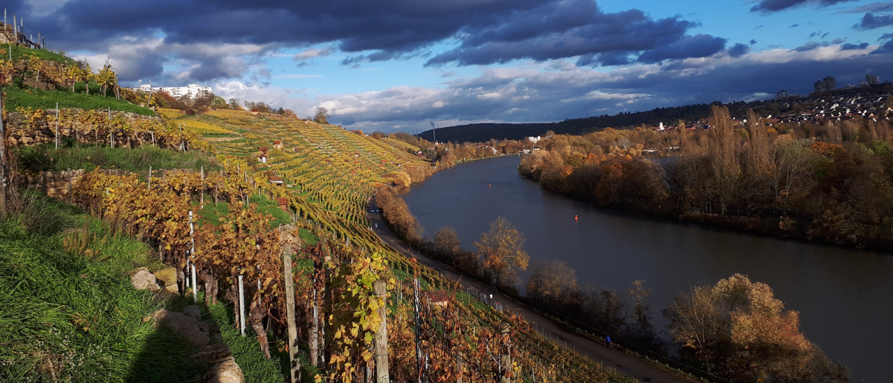 Weinberge im Herbst, © Weinfrequenz