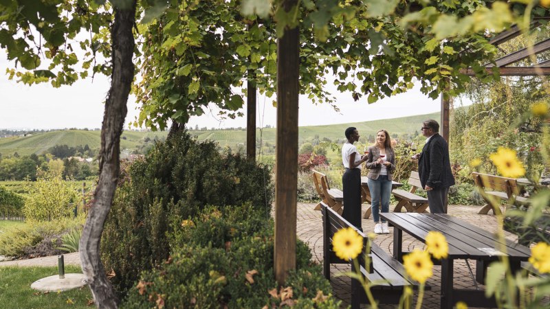 Grüne Landschaft mit Gras, Weinreben und Bäumen. Rechts ein Laubdach aus Weinranken an einem Holzgerüst, darunter drei Holztische mit Bänken. Drei elegant gekleidete Personen stehen beisammen, unterhalten sich und trinken Wein. Im Hintergrund ein Weinberg und Häuser einer Stadt., © Stuttgart-Marketing GmbH, wpsteinheisser