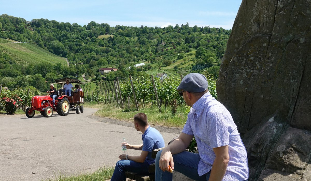 Break in the vineyard, © Stuttgart-Marketing GmbH