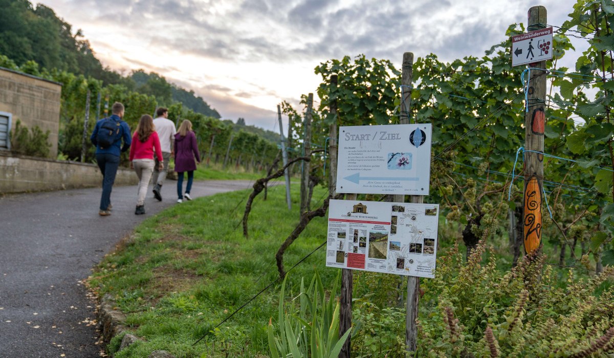 Wine trail, © Stuttgart-Marketing GmbH, Martina Denker