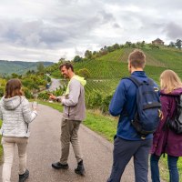 Wine trail with a view of the burial chapel, © Stuttgart-Marketing GmbH, Martina Denker