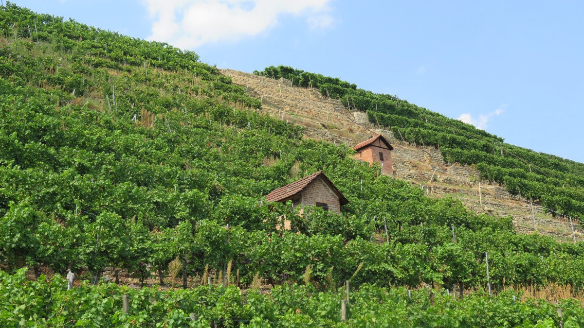 Vineyard cottage, © Stuttgart-Marketing GmbH