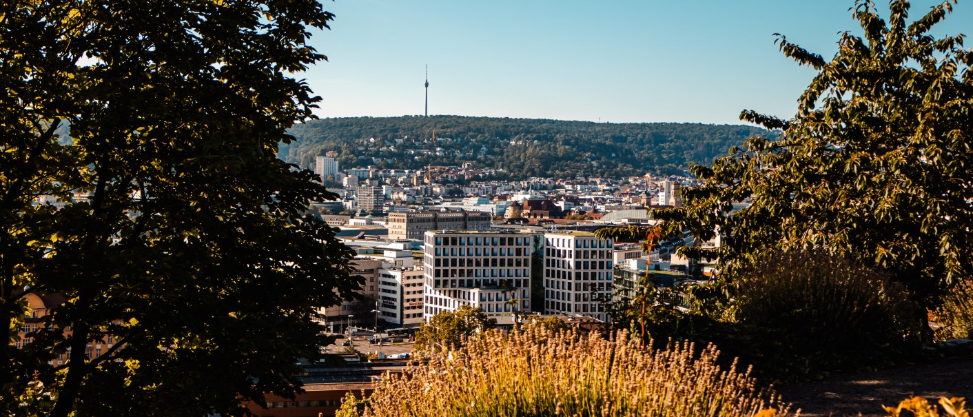 Panoramaweg, © SMG Stuttgart Marketing GmbH - Sarah Schmid