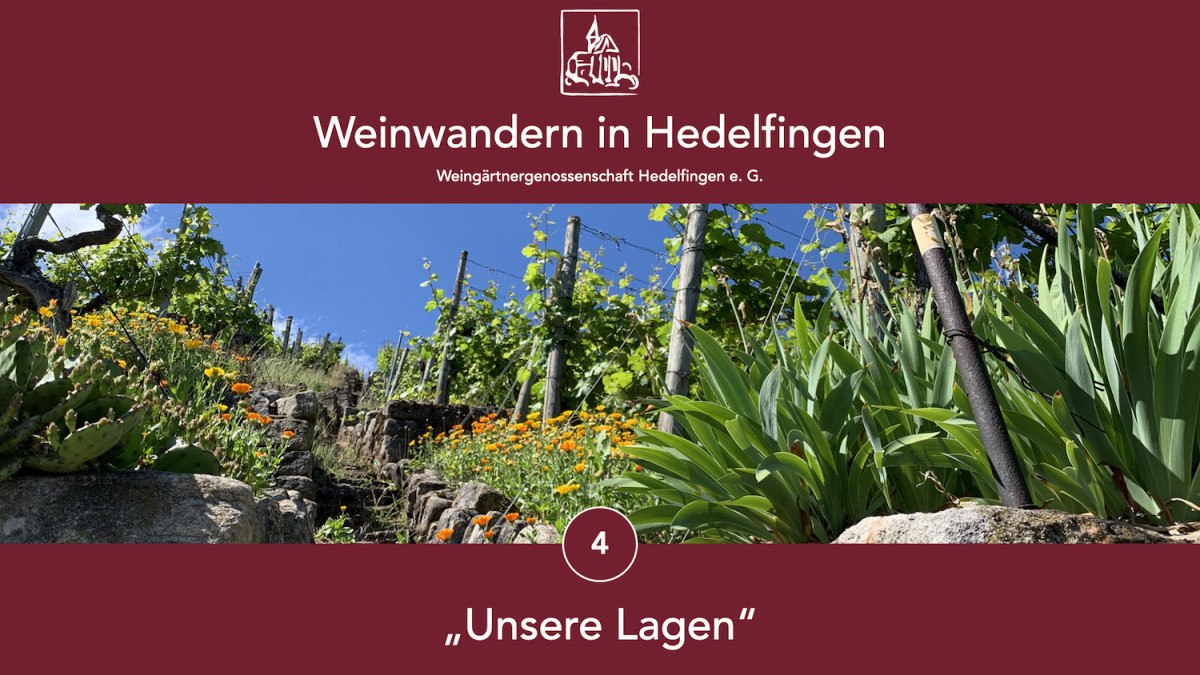 Wine hiking in Hedelfingen, © Lukas Alperowitz