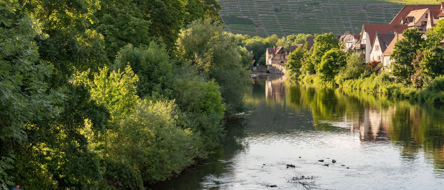 Besigheim, © Stuttgart-Marketing GmbH, Martina Denker