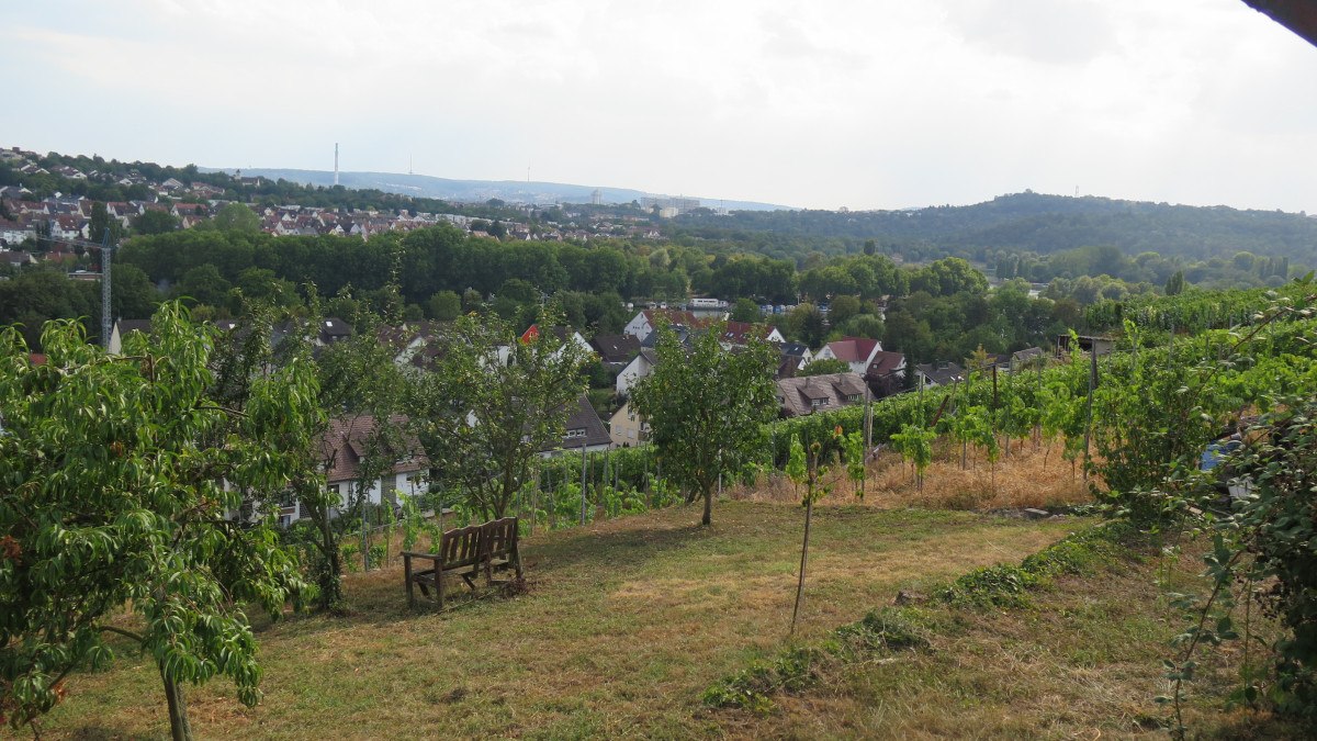 A short break in the vineyards, © Stuttgart-Marketing GmbH