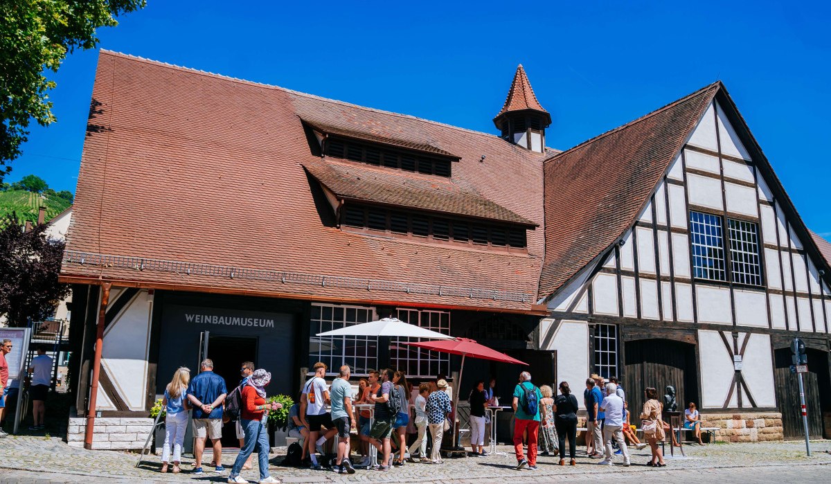 Uhlbach Wine Museum, © Stuttgart-Marketing GmbH, Thomas Niedermüller